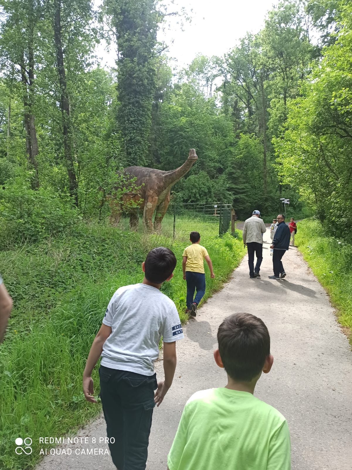 Whatsapp Image 2026 01 20 At 18.06.19